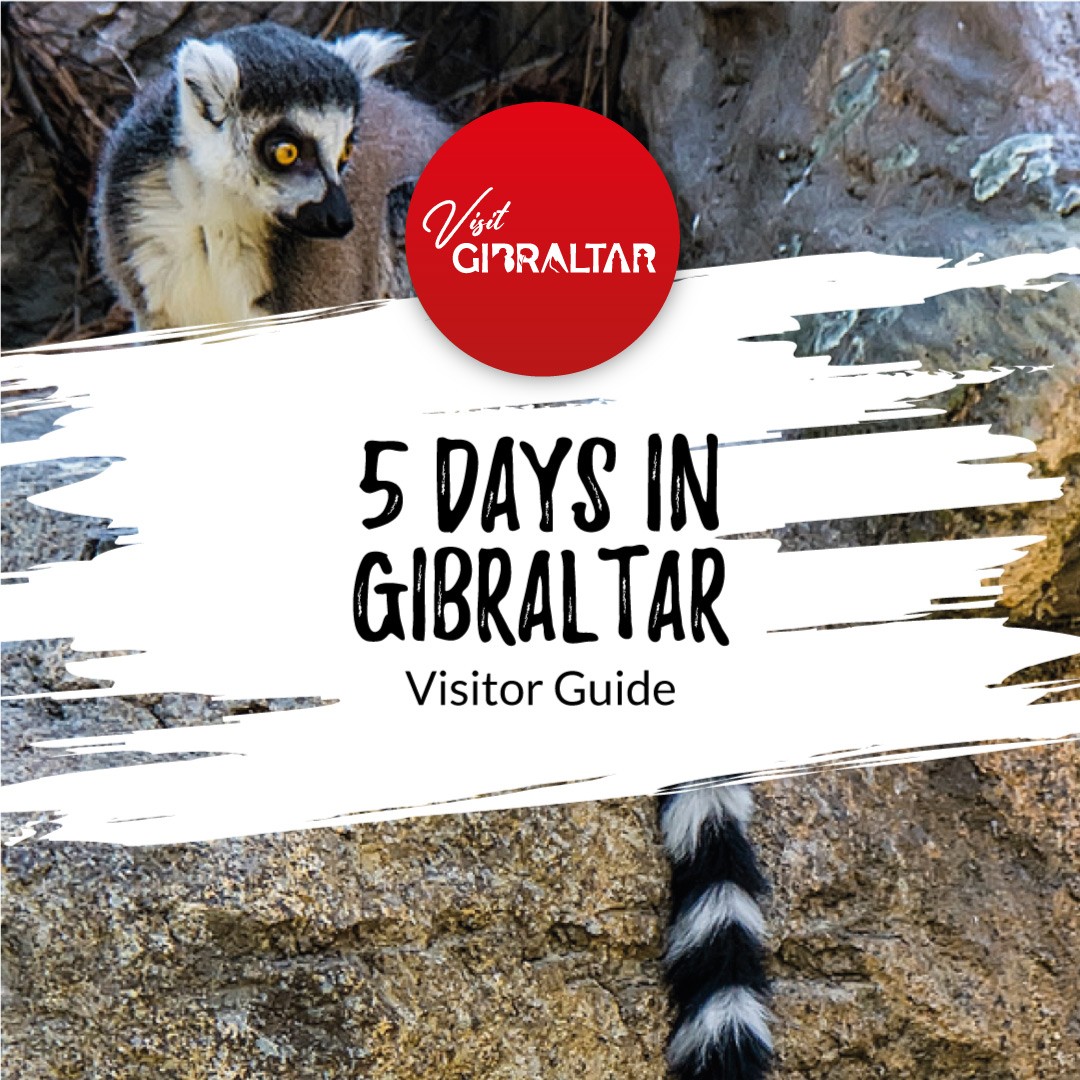 Image of 5 days in Gibraltar Visitor Guide